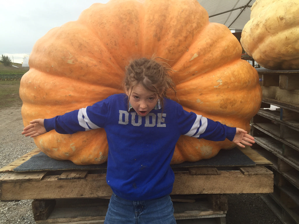 little girl in front of huge pumpkin 