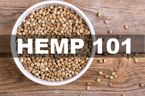 Hemp 101 - bowl of hemp seeds on wooden table